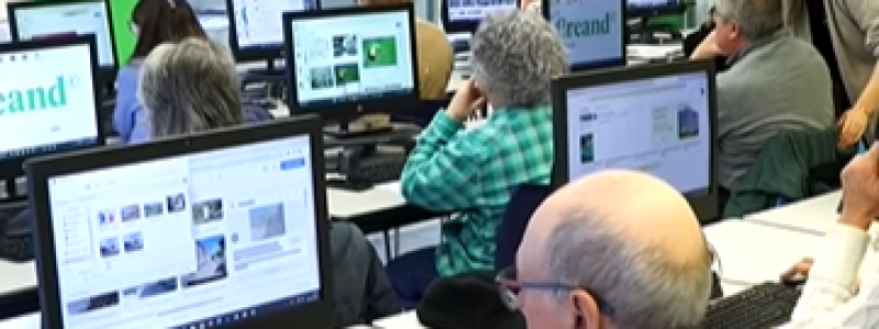 Organització de fitxers