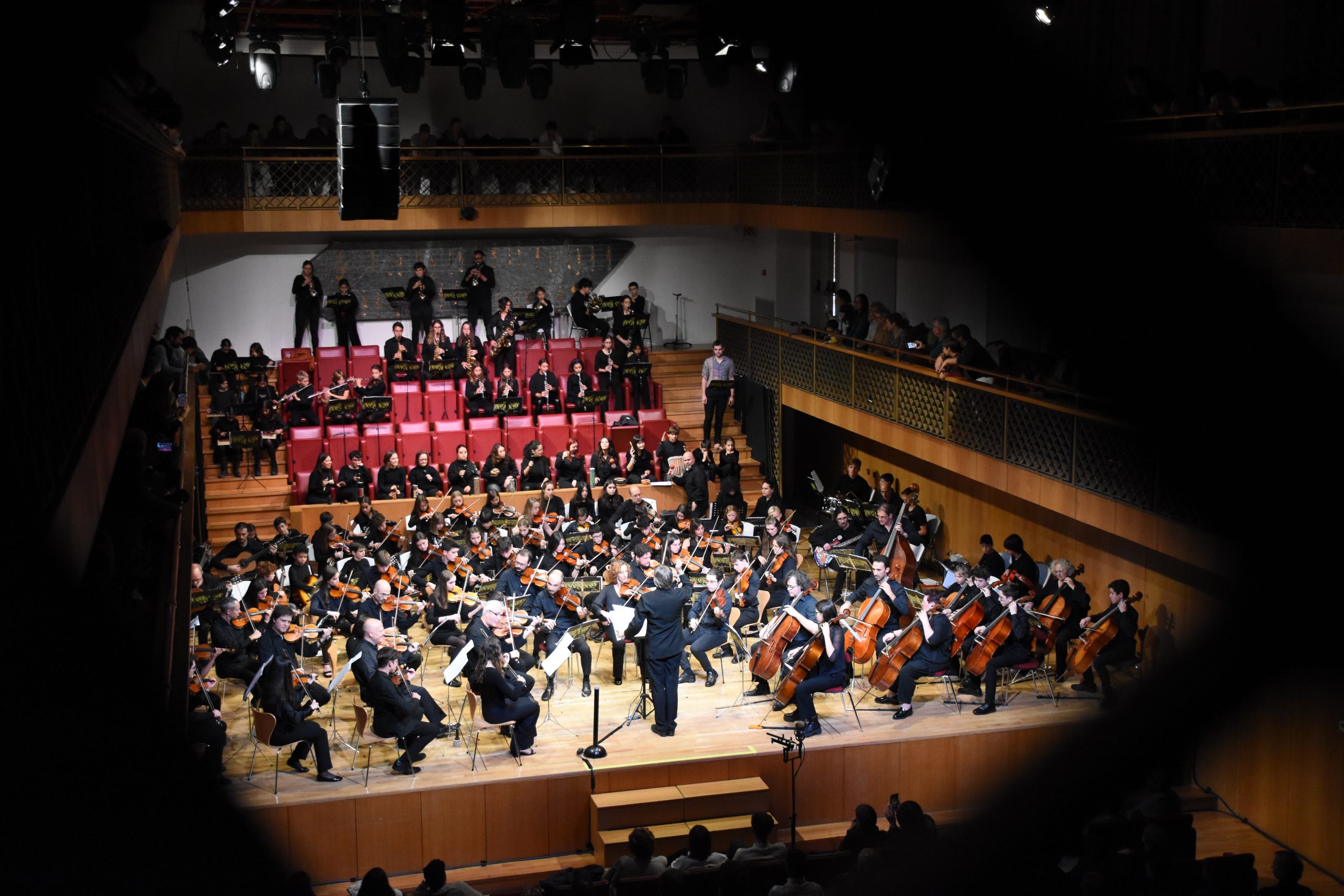 Ple a l’Auditori pel Concert de Santa Cecília