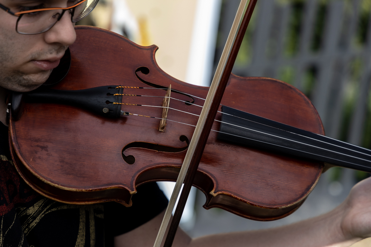 Nits d'estiu als Museus · A través de Bach 1 Nits d’estiu als Museus · A través de Bach