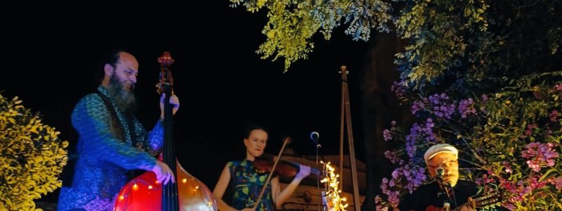 Concert Trio Baboons