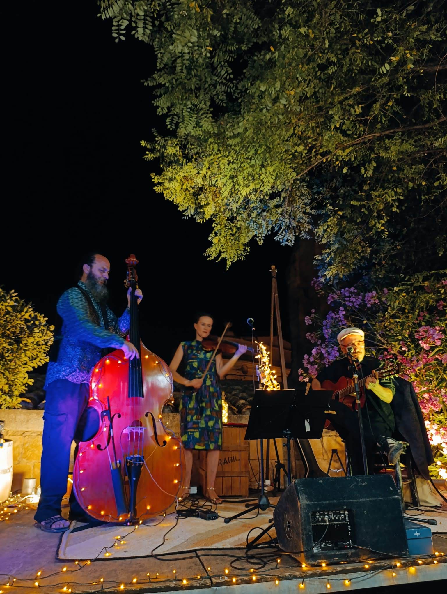 Concert Trio Baboons