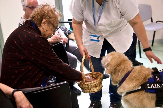 Intervenció assistida amb gos 1 Intervenció assistida amb gos