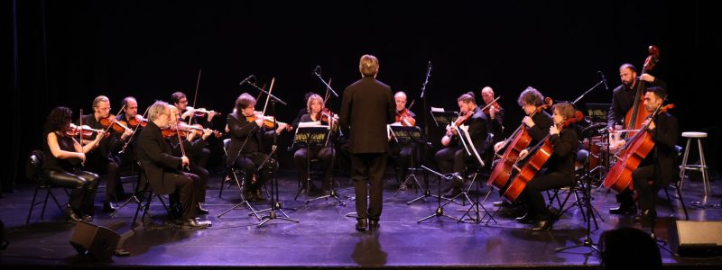 Txaikovski, Barber o Xostakóvitx, grans protagonistes del concert Constitució: convivència i projecte, a càrrec de l’ONCA