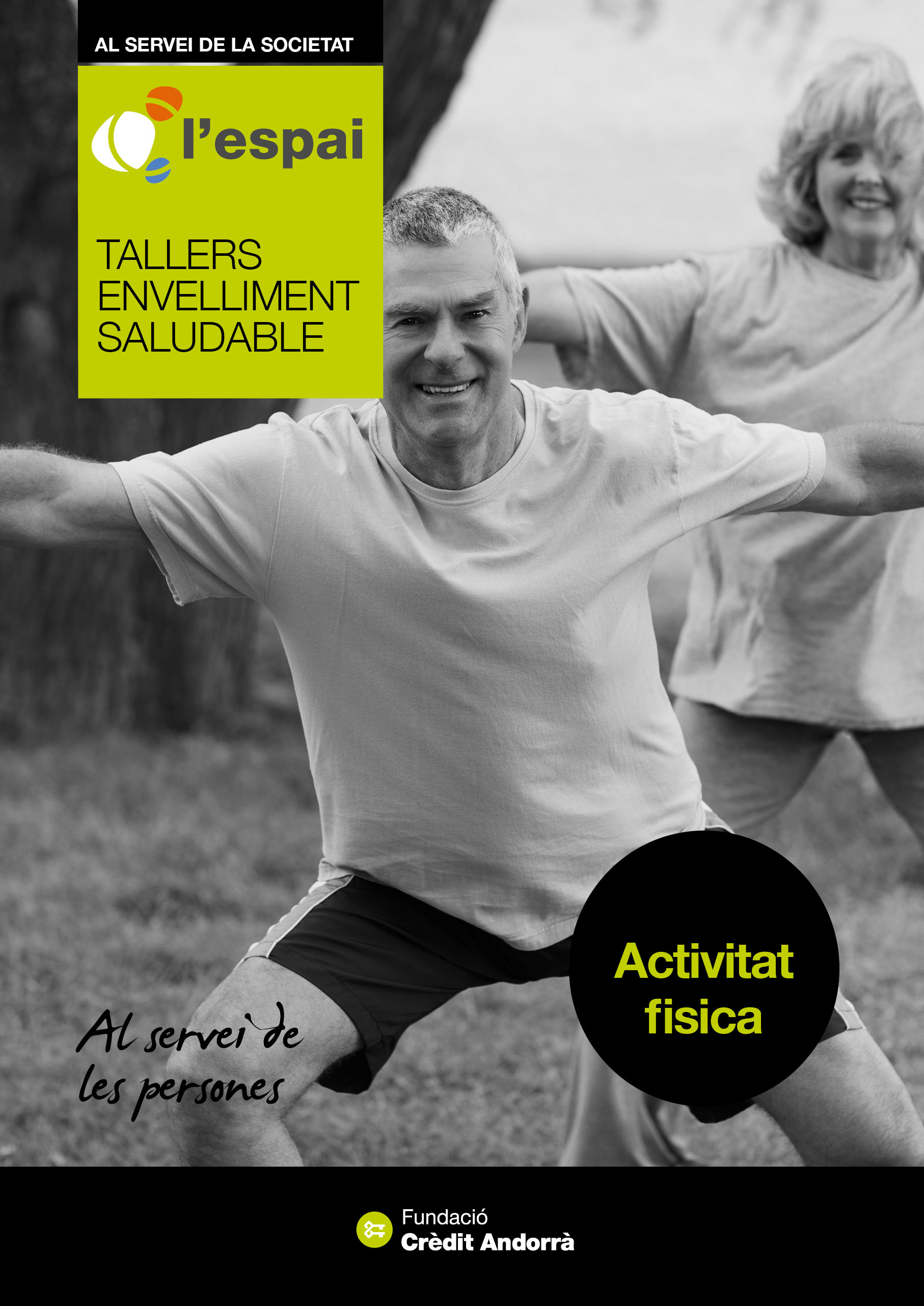 Guies sobre envelliment saludable: Activitat física