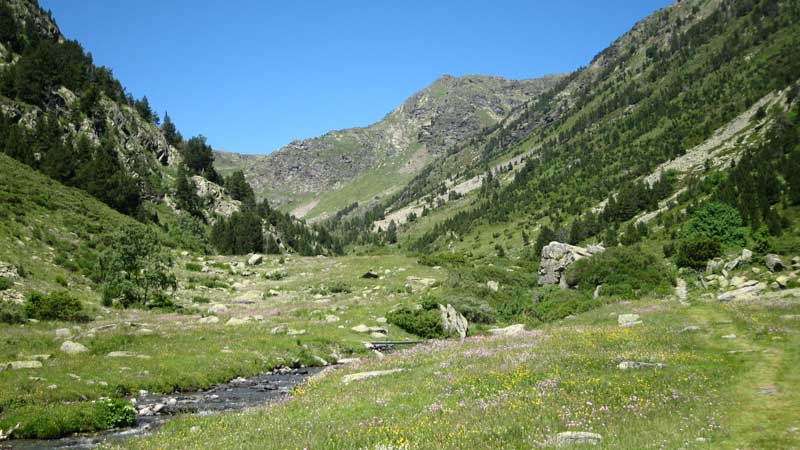 Rutes de senderisme guiades: Vall de Rialb